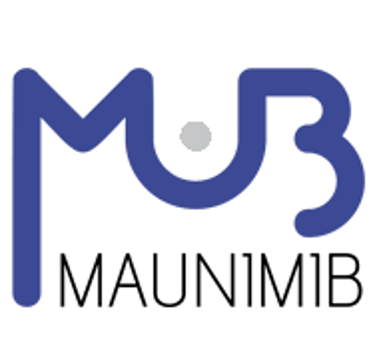 Partner MindLeague